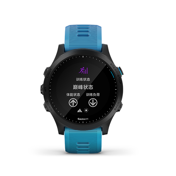 Forerunner 945 [Chinese] [Discontinued]