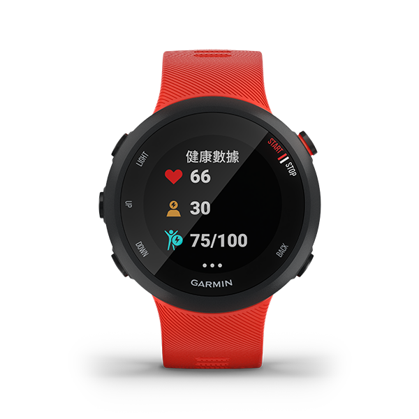 Forerunner 45 [Chinese] [Discontinued]