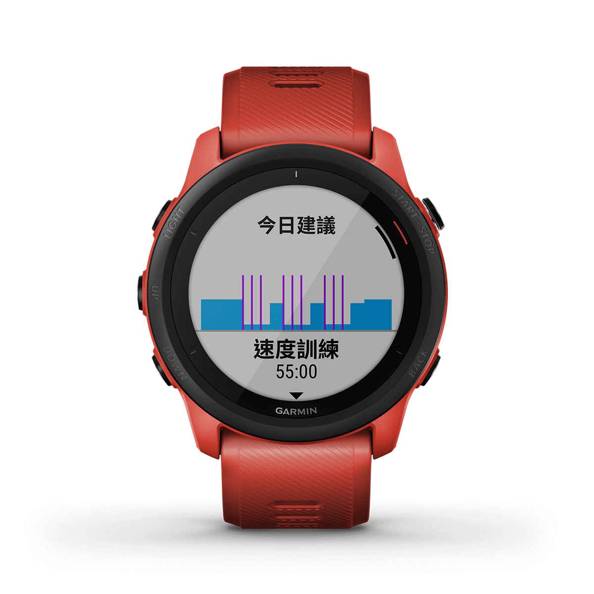 Forerunner 745 [Chinese]