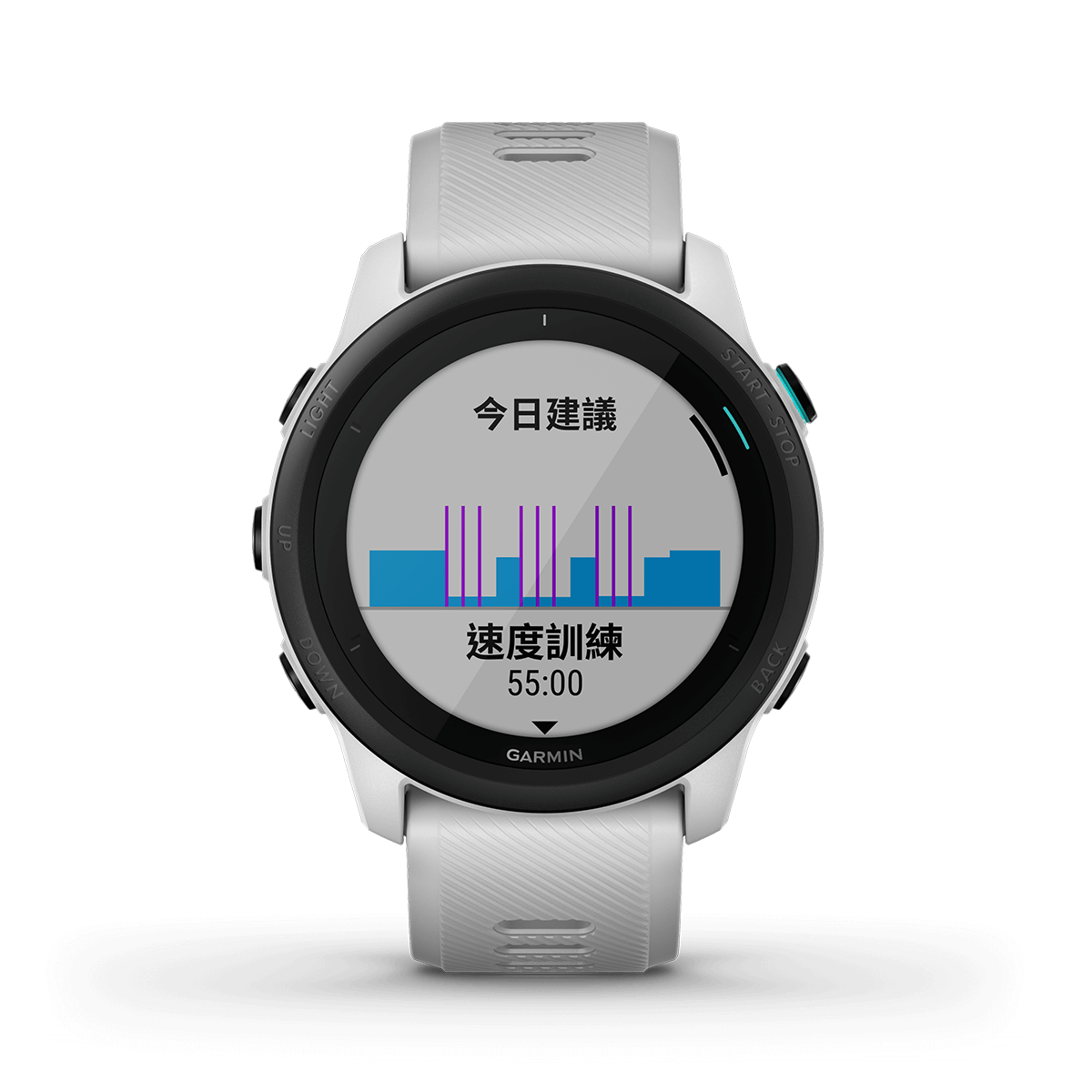 Forerunner 745 [Chinese]