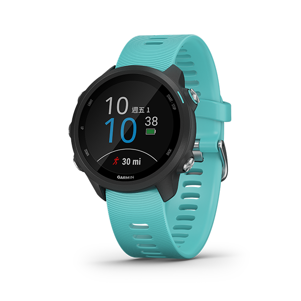 Forerunner 245 Music [Chinese] [Discontinued]