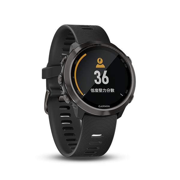 Forerunner 645 Music [Chinese] [Discontinued]