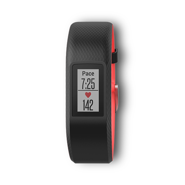 Vivosport [English] [Discontinued]