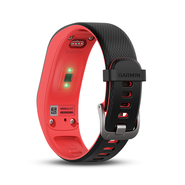 Vivosport swimming 2025